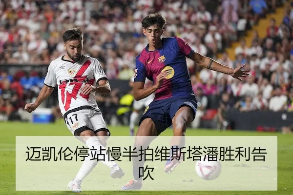 迈凯伦停站慢半拍维斯塔潘胜利告吹